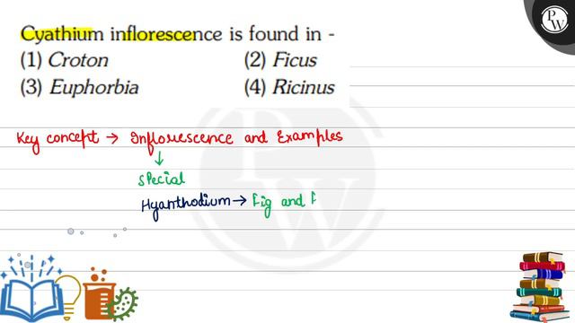 Cyathium inflorescence is found in -
(1) Croton
(2) Ficus
(3) Eupho... смотреть онлайн
