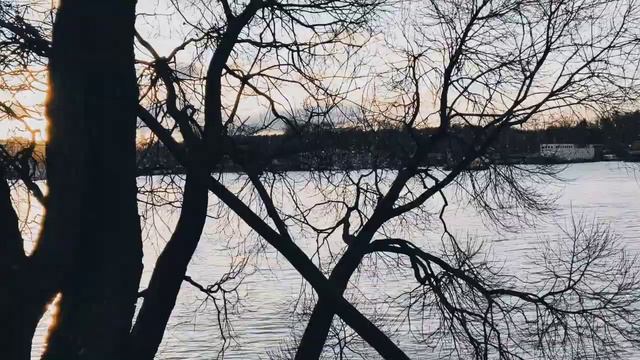 VID 20221113 092438 Анна (П. Валери)...Павел Васильев Лахтинский смотреть онлайн