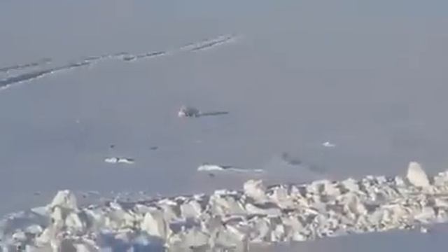 Песец обманул охотников якутов, притворившись мертвым / Cheated fox hunters смотреть онлайн