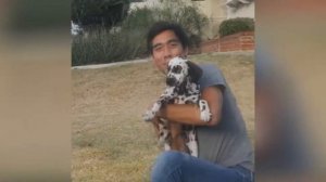 Зак Кинг лучшее за 2015|Zach King's Best Vines from 2015