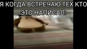 ШИРОКИЙ МЕДВЕДЬ БЕЖИТ:
