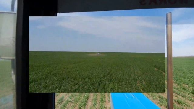 Пшеница,опрыскивание 12.04.21.баковая смесь 4 в одном! смотреть онлайн