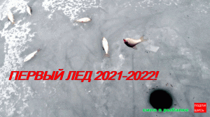 первый лед 2021-2022