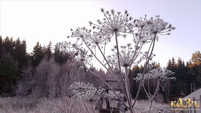 Каждый день - новый год смотреть онлайн