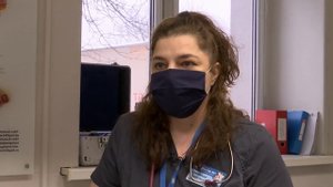 Профессия ветеринара // Сложности, плюсы и минусы // Как стать ветеринаром?