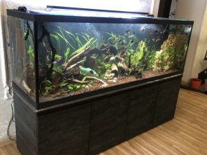 Тумба под аквариум