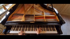 ABBA - Chiquitita final part (TOP piano view)