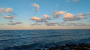 Dolphin Brothers - My Winter