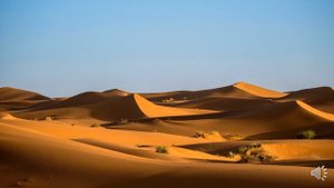 В жаркой пустыне, под солнцем сгорая ....