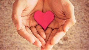 Переливание Крови И Донорство