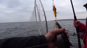 РЫБАЛКА МЕЧТЫ! Троллинг поздней осенью!