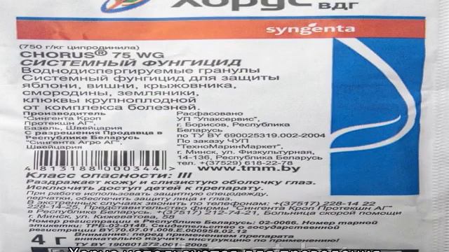 Хорус: фунгицид, инструкция по применению для винограда смотреть онлайн