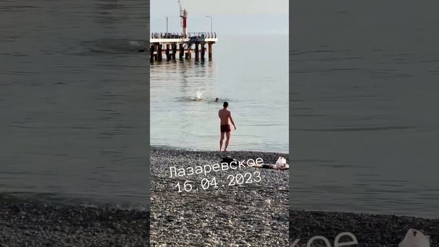 Лазаревское 16.04.2023. #сочи #лазаревское #travel #море #пляж #shortvideo #short