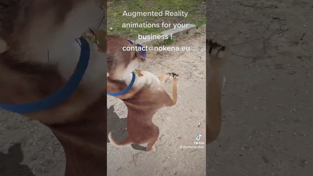 Boost your business with Augmented Reality animations (4) !