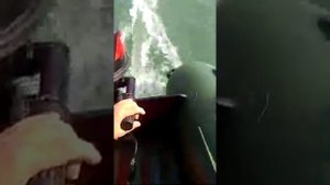 Ракета РЛ-320 «Эгоист» и Tohatsu 5