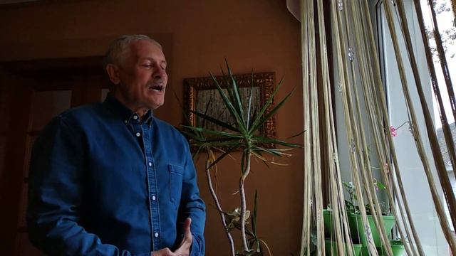 Димаш. Вселенная любви. смотреть онлайн