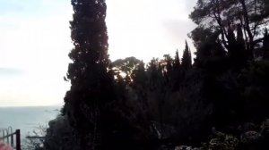 Понизовка. Крым.