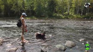 Собака хотела ехать на мотоцикле. Блогер БН на отдыхе