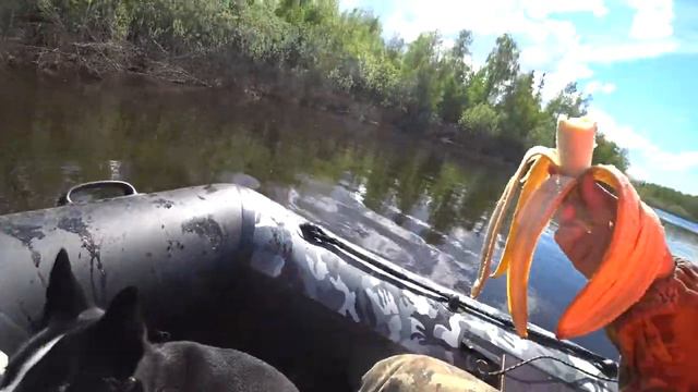 Воскресная прогулка по реке Лонг-Юган. Красочный закат. смотреть онлайн