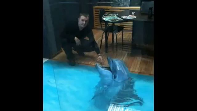 3Д НАЛИВНЫЕ ПОЛЫ (фото) смотреть онлайн