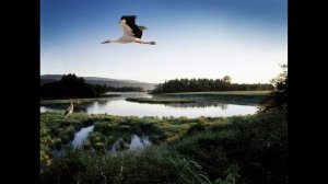 Моим друзьям