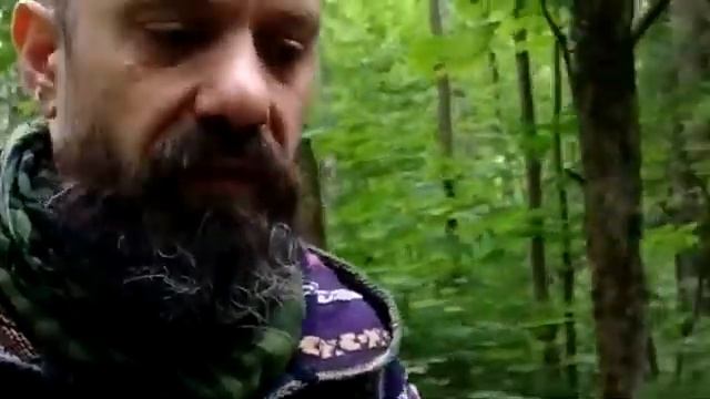 Истинная природа ума. Практика осознанных состояний. Когнитивные аспекты Пробуждения и Просветления смотреть онлайн