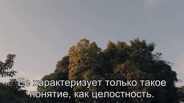 Приметы Числа, ародные приметы смотреть онлайн