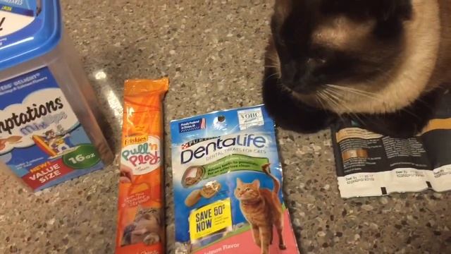 КОНФЕТКИ =^..^= СИАМСКИЕ КОШКИ смотреть онлайн