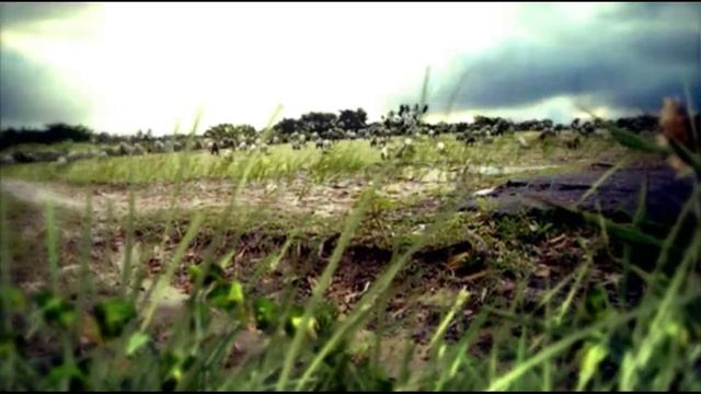 Сон из лаборатории "X-18" S.T.A.L.K.E.R. - Тень Чернобыля смотреть онлайн