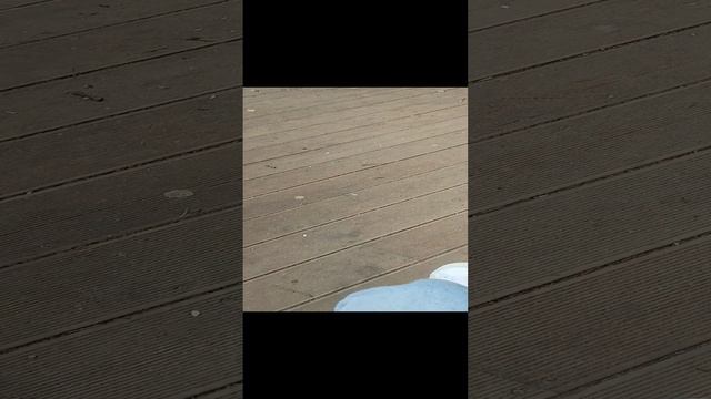 парк в Нововоронеже