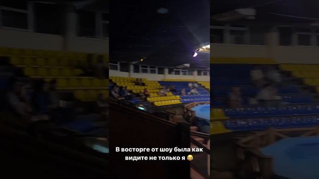 Юлия Ефременкова показала реакцию детей на представление дельфинов