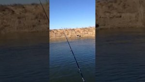 1 сброс Чограйское водохранилище