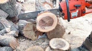 STİHL MS 361 VS HUSQVARNA 268 XP