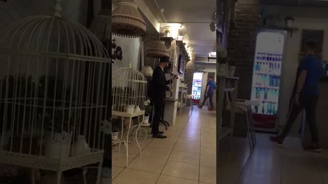 В ресторане играю на электрической скрипке