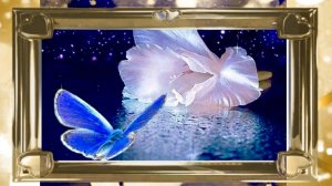 Доброй ночи! Желаю расслабиться, отпустить заботы прошедшего дня