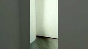 Янтарная глава