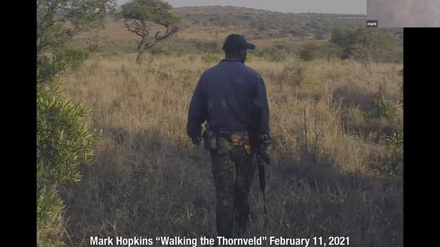 Carlisle Council on Aging Mark Hopkins Walking the Thornveld. February 11, 2021. смотреть онлайн
