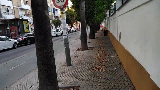 СОЛНЦЕ В ПЛАНЕТАРНОЙ МАГИИ. ВОСКРЕСЕНЬЕ. смотреть онлайн