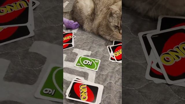 ВСЕ ИСТОРИИ С РАДУЖНЫМИ ДРУЗЬЯМИ ИЗ РОБЛОКС | ROBLOX RAINBOW FRIENDS В РЕАЛЬНОЙ ЖИЗНИ смотреть онлайн