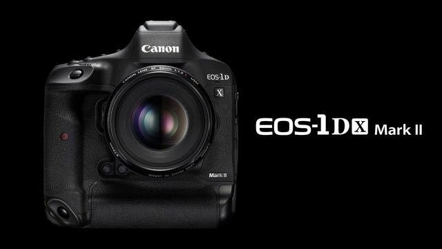 Профотограф: выбор профессиональной фотокамеры