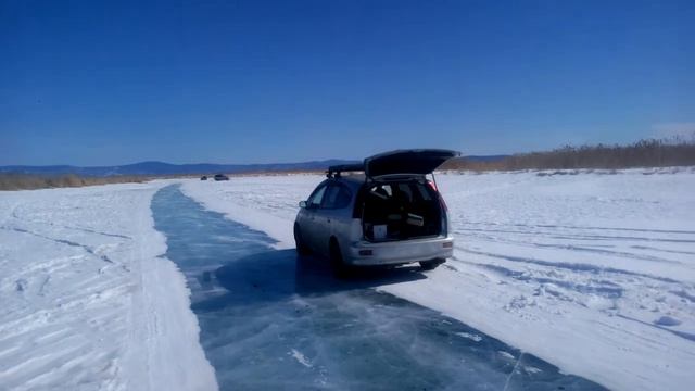 Как мы кормили ондатру смотреть онлайн