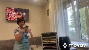 Обзор на дигидратор фирмы Oberhof