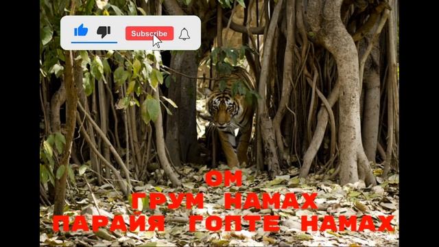 #shorts Айяппа мантра для устранения блоков при телепатии смотреть онлайн