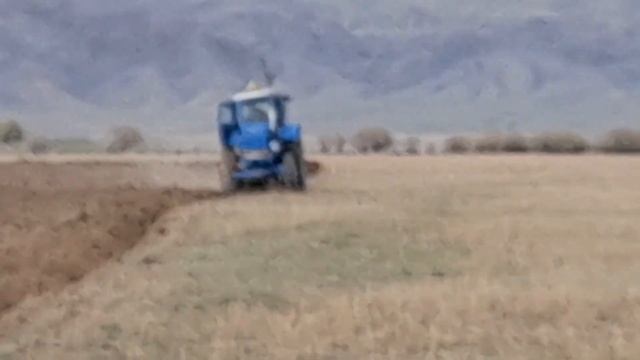 ГЛУБОКАЯ ПАХОТА ЦЕЛИНЫ НА ЛЕГЕНДАРНОМ ТРАКТОРЕ Т-40 смотреть онлайн