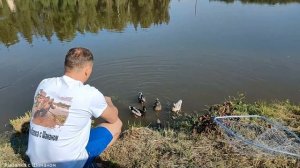 Соревнования по спортивной рыбалке в РК "Русская рыбалка" Голыгино.