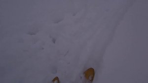 Вепрь-308/Стрельба с открытого на 150 метров, тяжёлой пулей