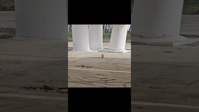 Источник номер 4 в городе Ессентуки основан в 19 веке.