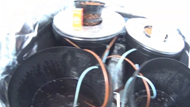 Как приготовить раствор для гидропоники.