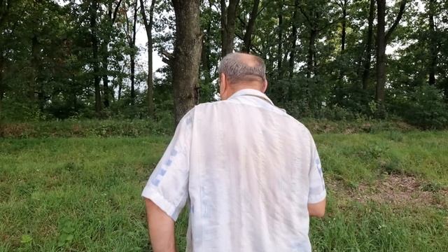 август 2022г. Привезли ЯЩИК посуды СССР. Ремонт огород смотреть онлайн