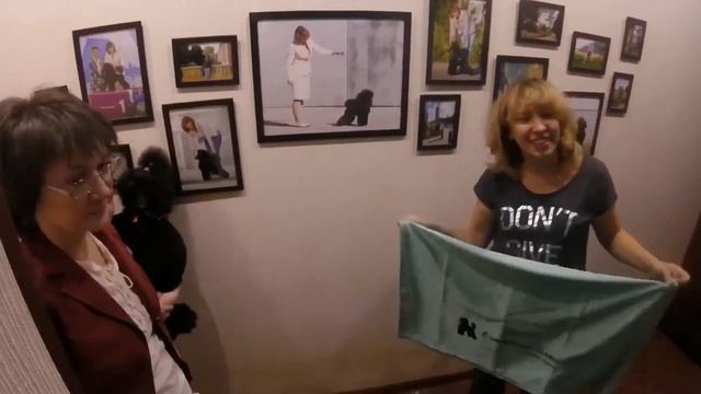 Питомник пуделей С цветочной поляны - 20лет, отмечаем юбилей!